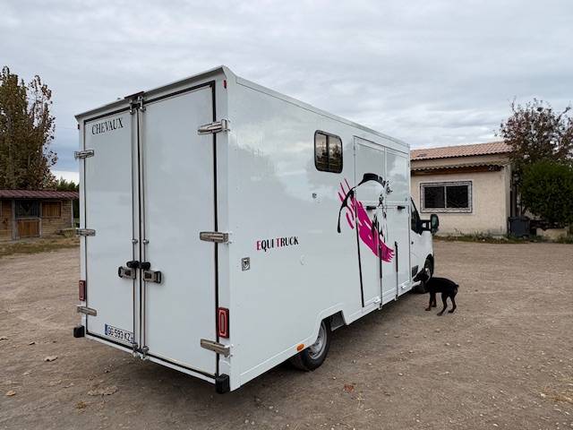 Van per Cavalli Renault  2021 Occasione