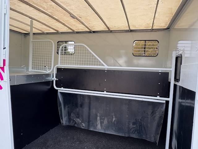 Van per Cavalli Renault  2021 Occasione