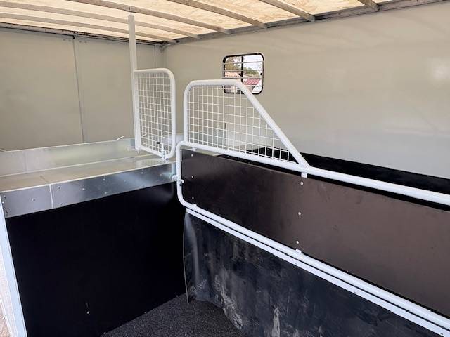 Van per Cavalli Renault  2021 Occasione