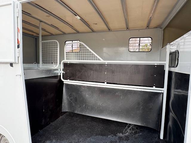 Van per Cavalli Renault  2020 Occasione