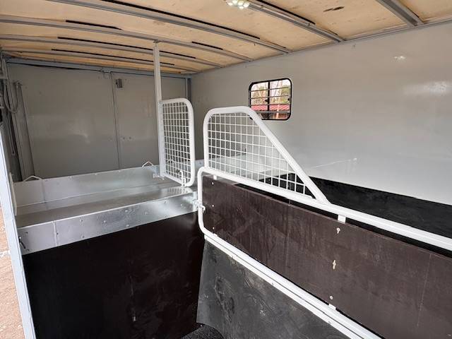 Van per Cavalli Renault  2020 Occasione