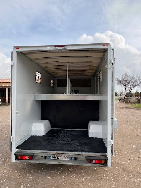 Van per Cavalli Renault  2020 Occasione