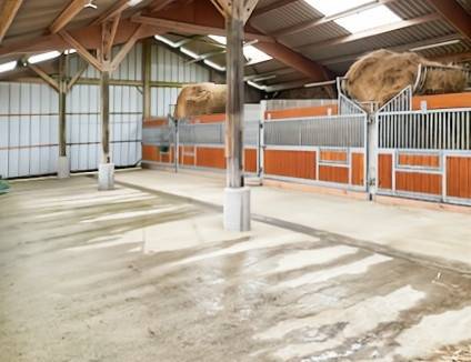 Centro di stagione cavallo In vendita Orne