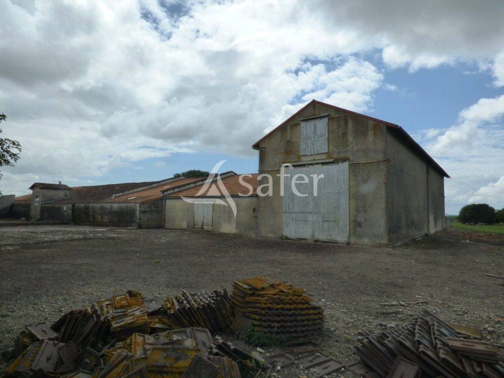 Azienda agricola In vendita Charente-Maritime