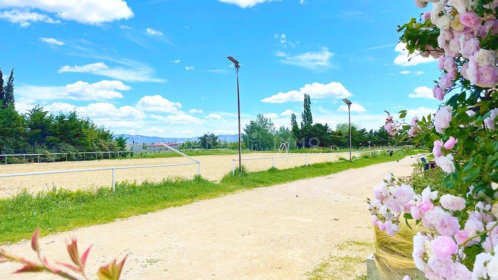 Proprietà equestre In vendita Bouches-du-Rhône