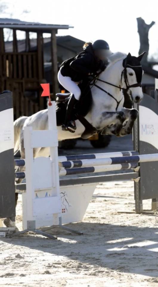 Castrone Connemara In vendita 2013 Baio ,  espoir kerhamonic