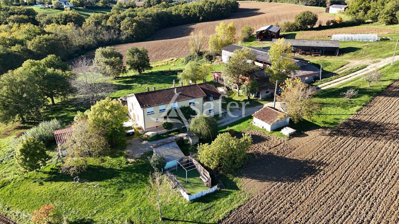Azienda ovina In vendita Tarn-et-Garonne
