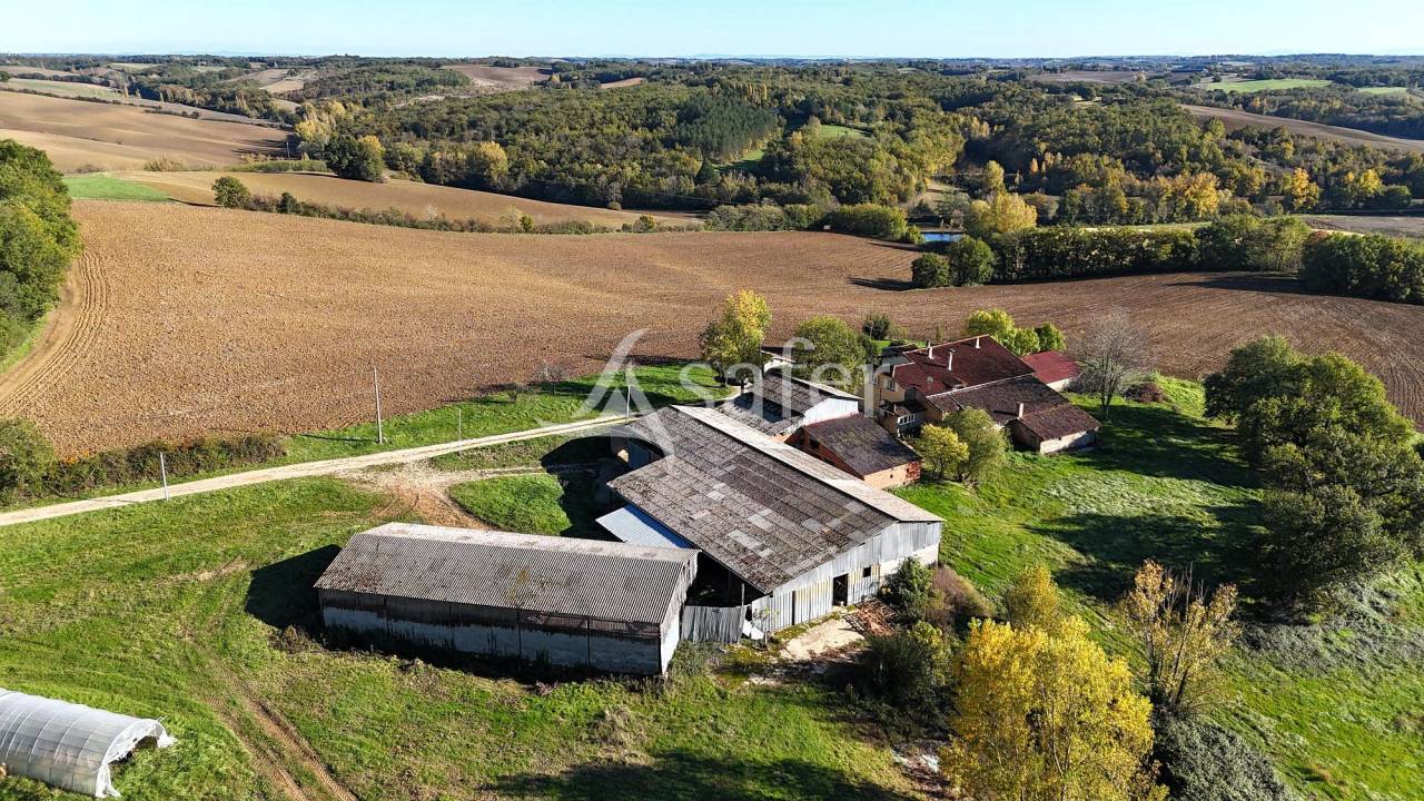 Azienda ovina In vendita Tarn-et-Garonne