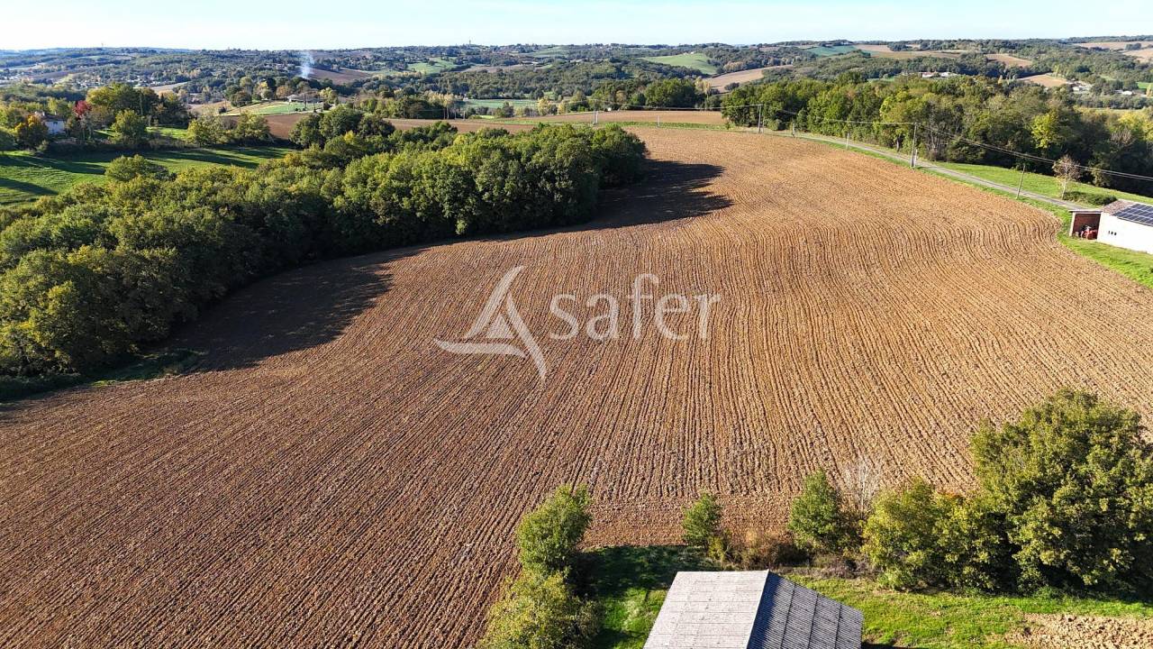 Azienda ovina In vendita Tarn-et-Garonne