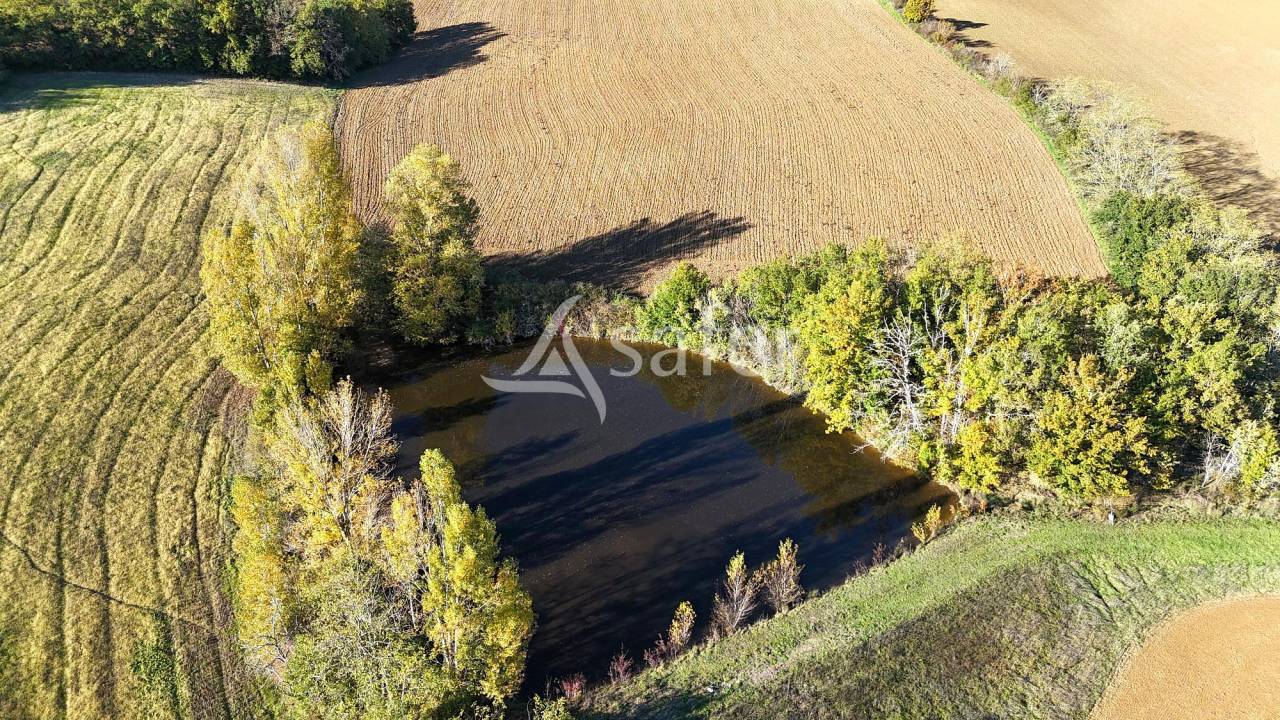 Azienda ovina In vendita Tarn-et-Garonne