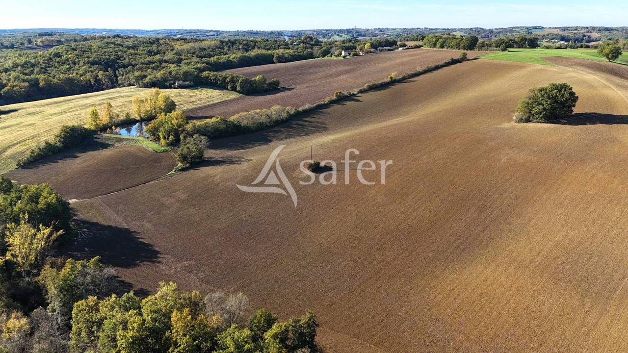 Azienda ovina In vendita Tarn-et-Garonne