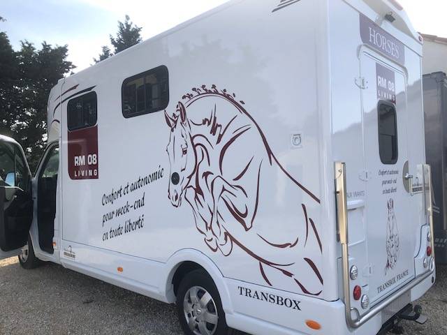 Van per Cavalli Trans Box Living 2025 Occasione