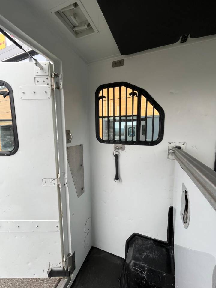 Van per Cavalli Theault PROTEO 5 PLACES 2011 Occasione