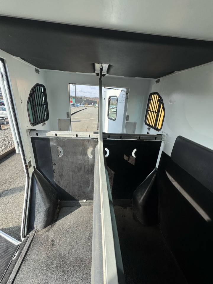 Van per Cavalli Theault PROTEO 5 PLACES 2011 Occasione