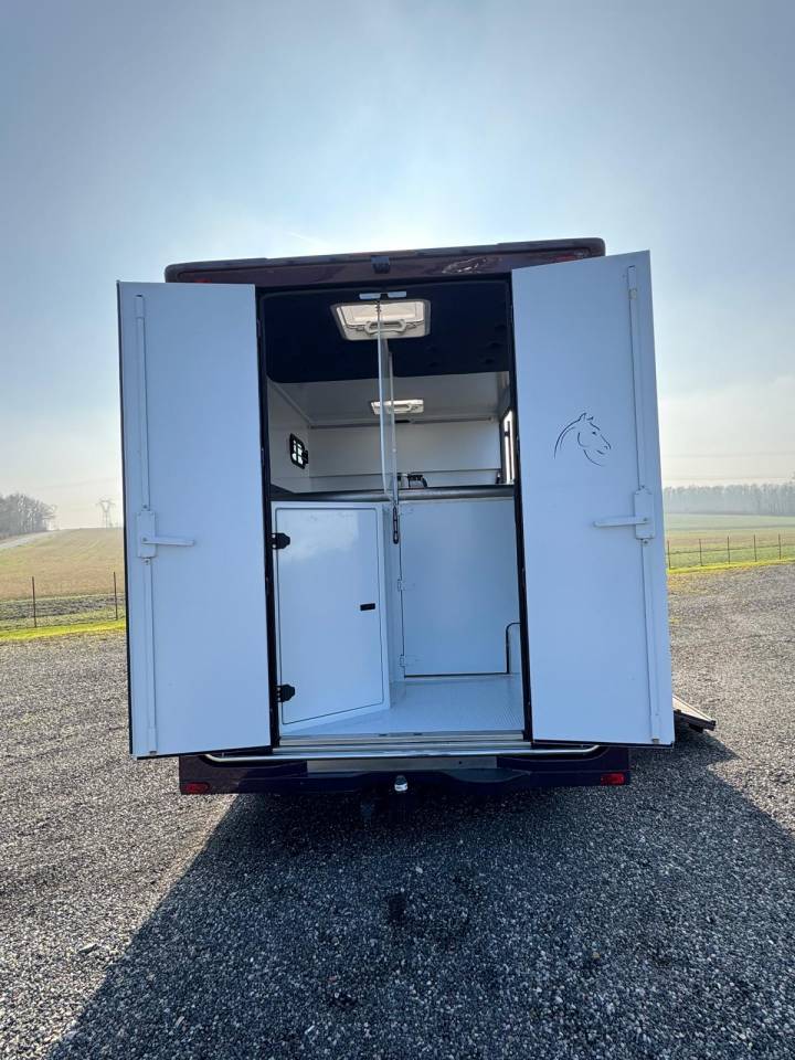 Van per Cavalli Chardron Renault Master 2023 Occasione