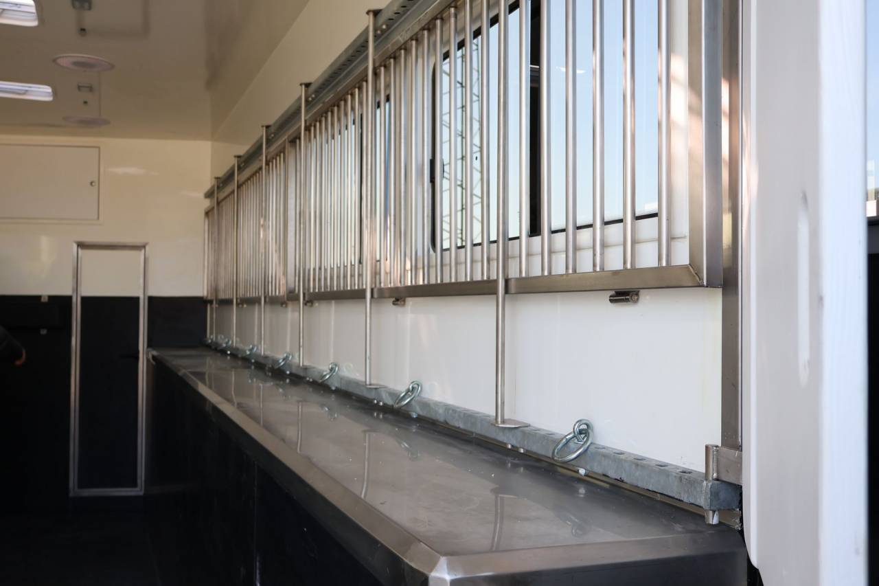 Camion per Cavalli - Altra marca - MAN TGS 26.430 PAILLARD 8 CHEVAUX POP OUT 2025 Nuovo