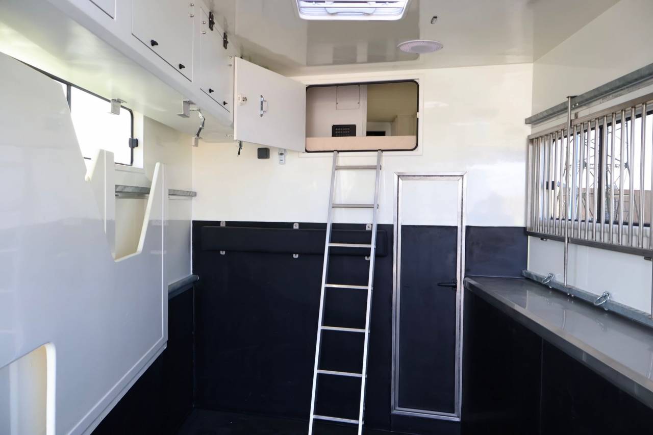 Camion per Cavalli - Altra marca - MAN TGS 26.430 PAILLARD 8 CHEVAUX POP OUT 2025 Nuovo