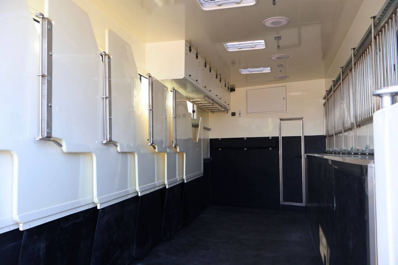 Camion per Cavalli - Altra marca - MAN TGS 26.430 PAILLARD 8 CHEVAUX POP OUT 2025 Nuovo