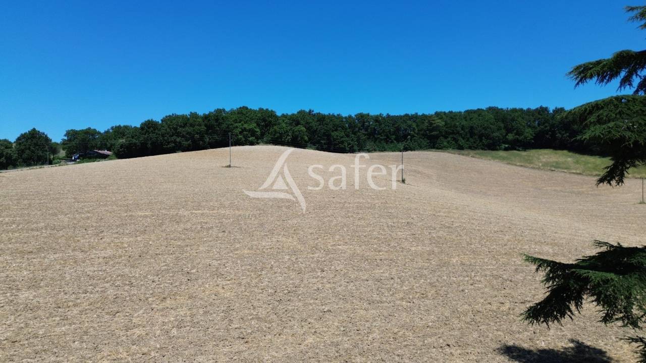 Proprietà equestre In vendita Tarn-et-Garonne