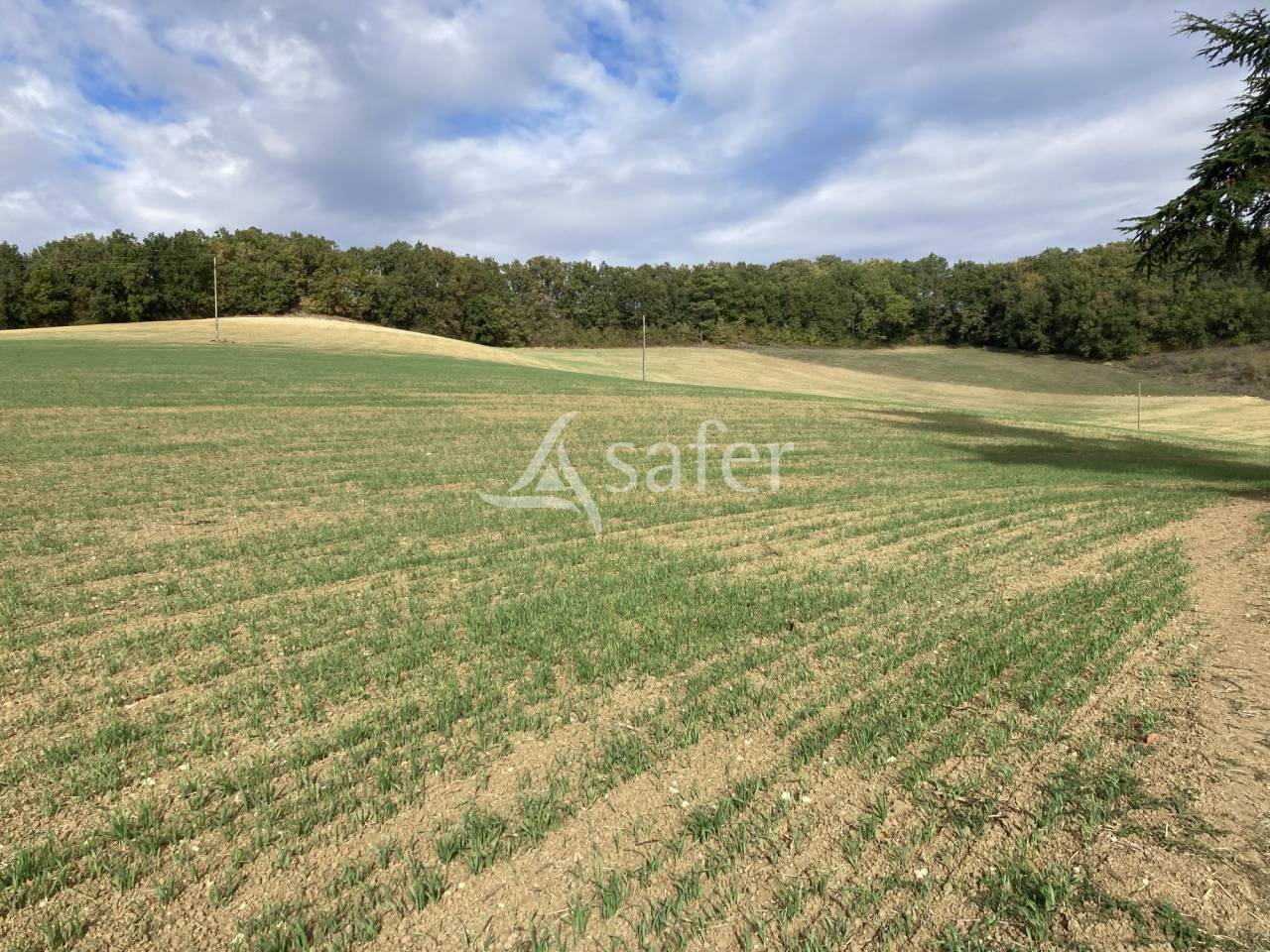 Proprietà equestre In vendita Tarn-et-Garonne