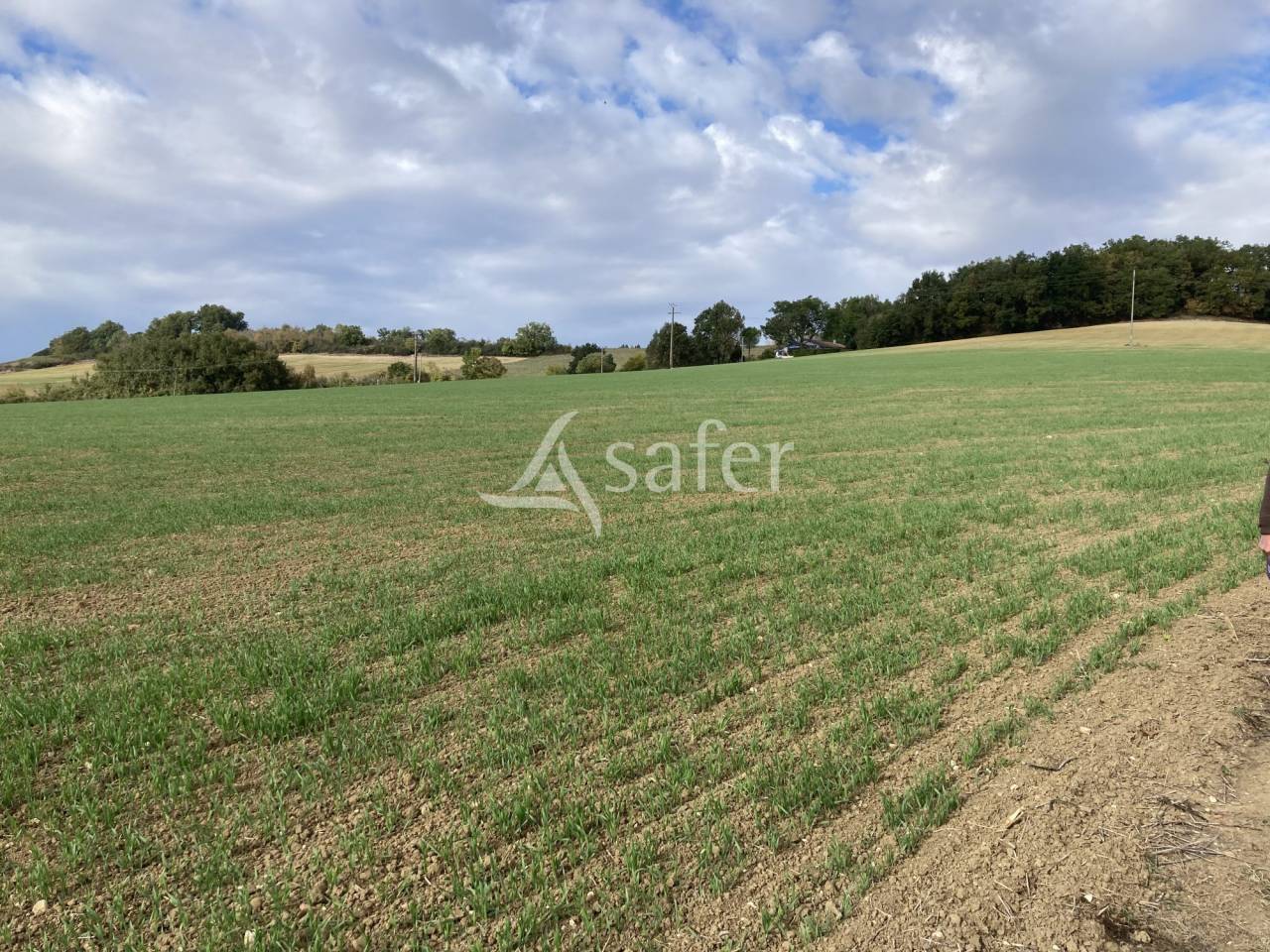 Proprietà equestre In vendita Tarn-et-Garonne