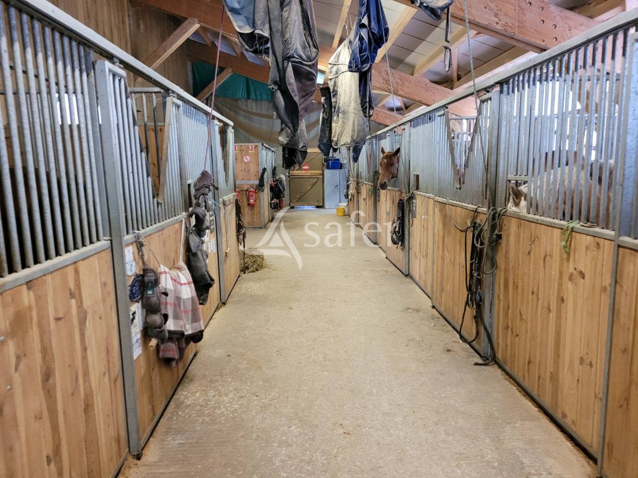 Proprietà equestre In vendita Haute-Savoie