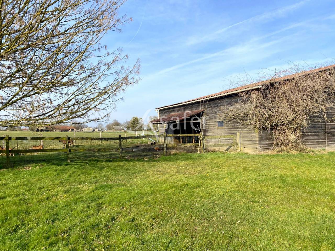 Proprietà equestre In vendita Ain