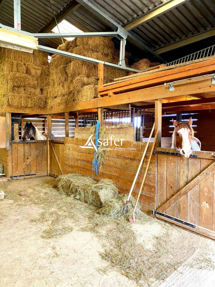 Propriet&agrave; equestre In vendita Ain