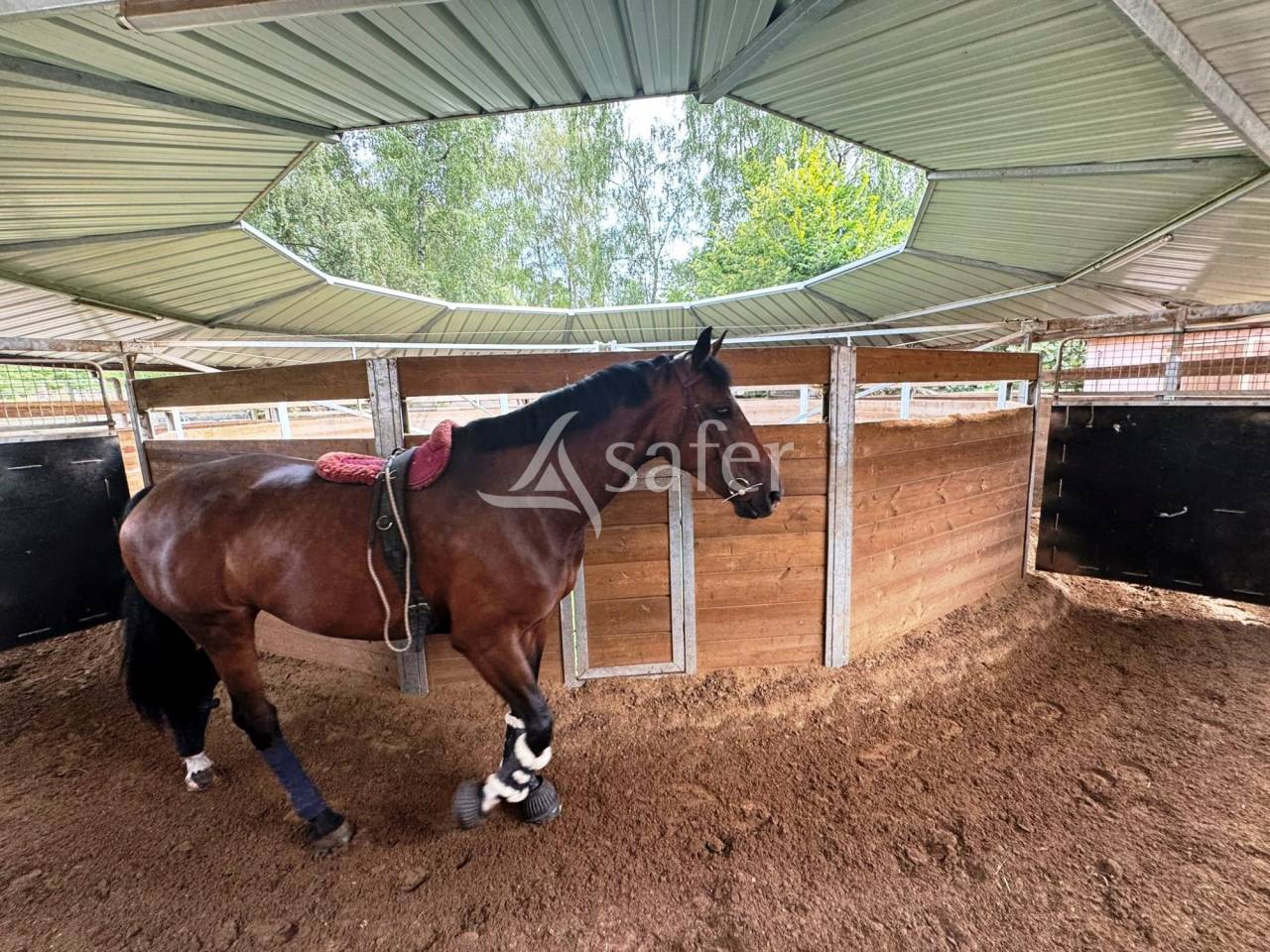 Proprietà equestre In vendita Seine-et-Marne
