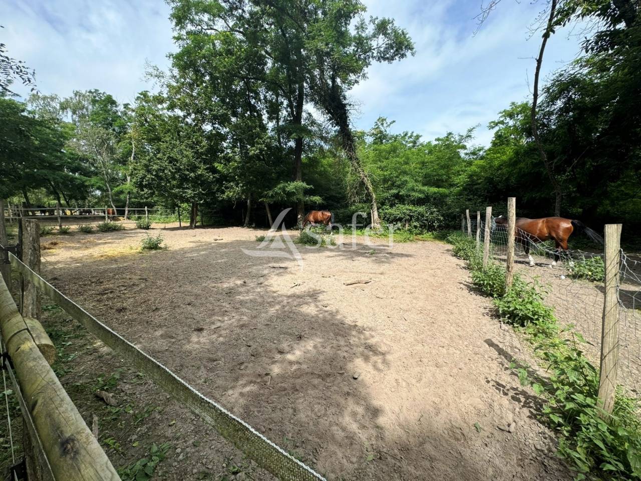 Proprietà equestre In vendita Seine-et-Marne