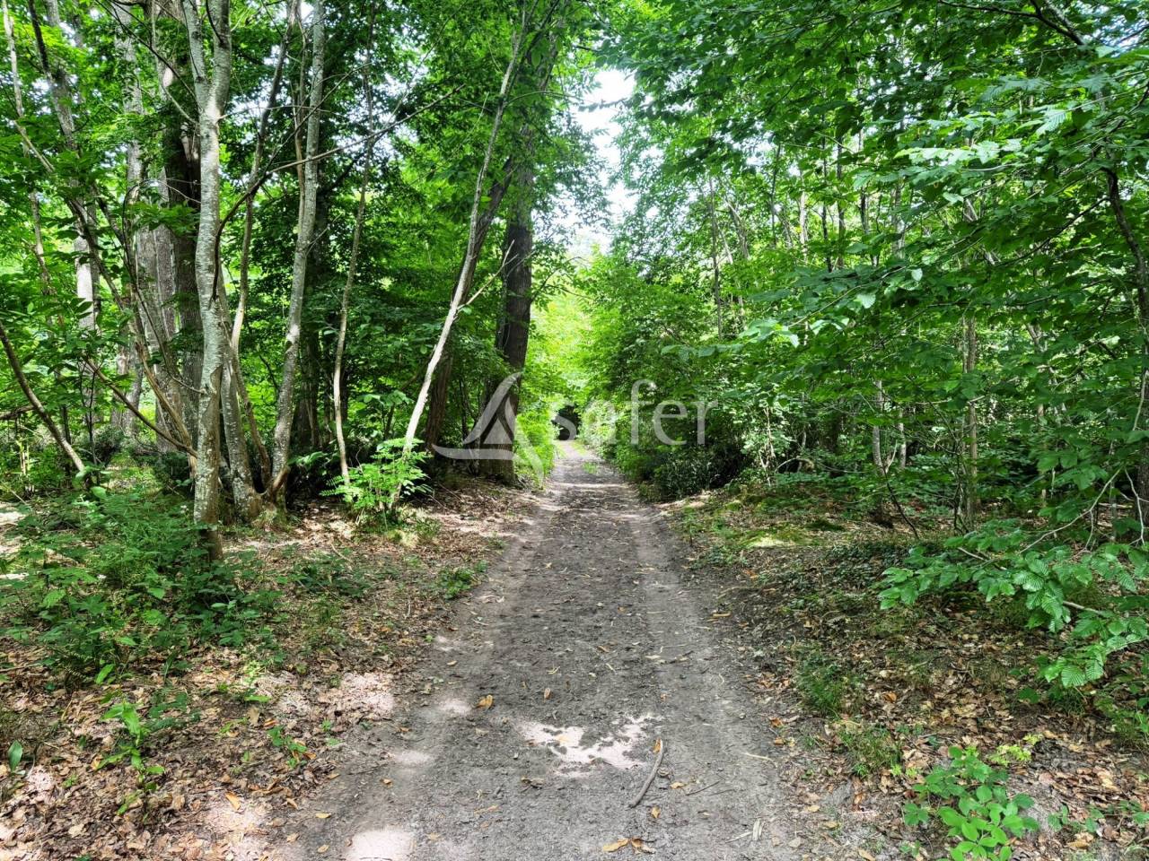 Proprietà equestre In vendita Seine-et-Marne