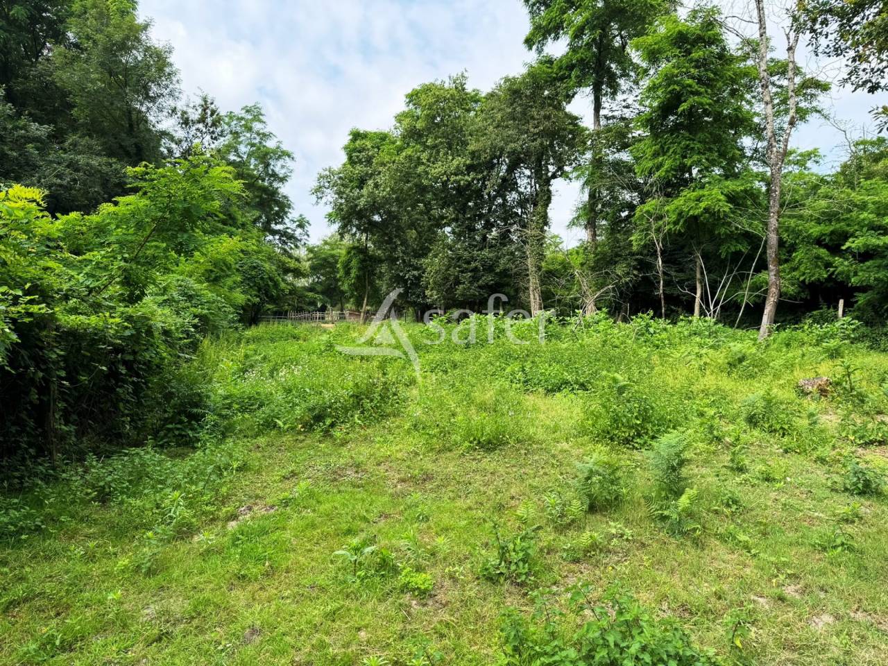 Proprietà equestre In vendita Seine-et-Marne