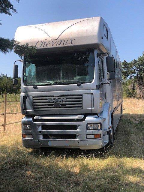 Camion per Cavalli Trans Box  2025 Occasione