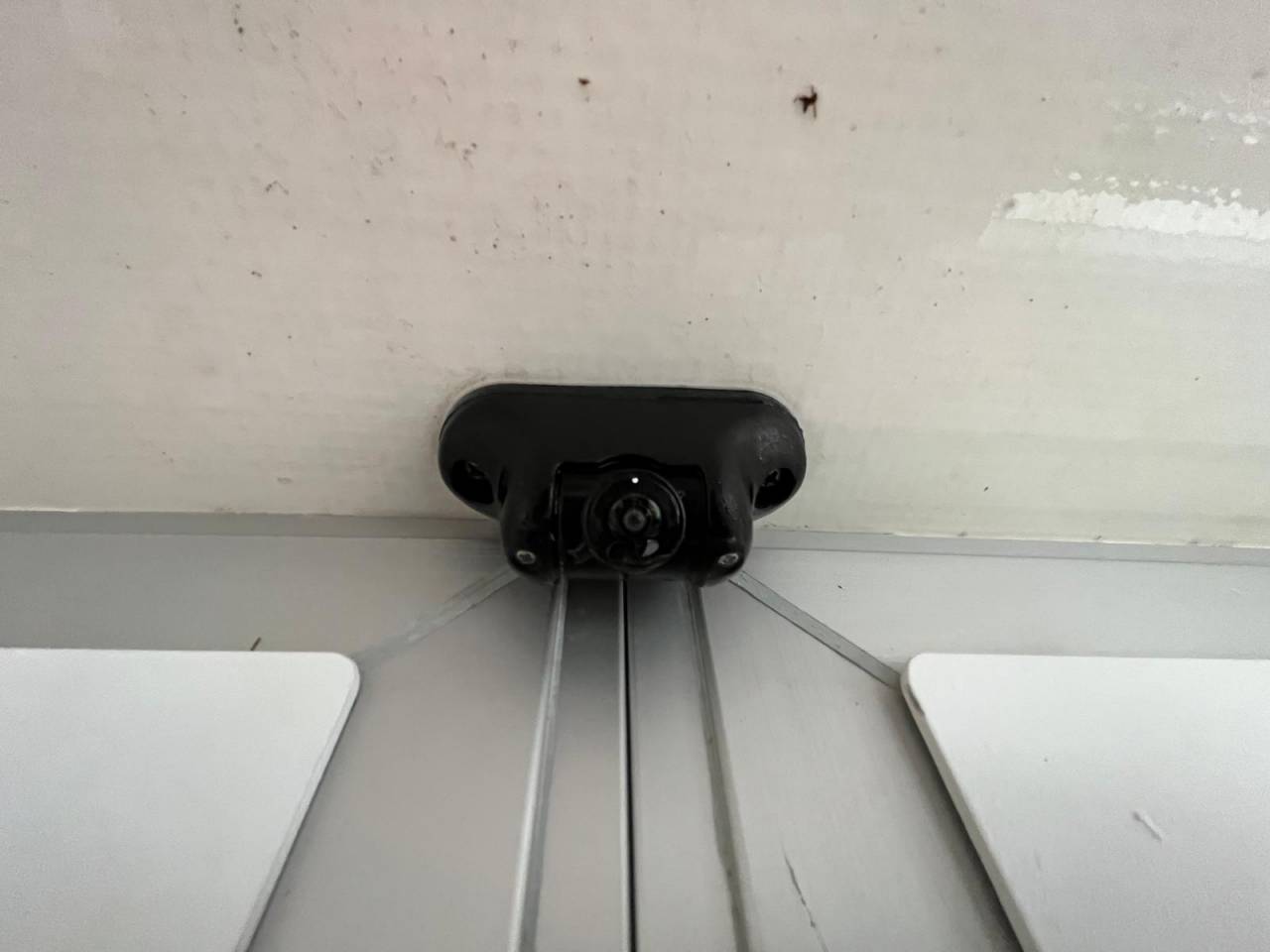 Van per Cavalli STX STX 2021 Occasione