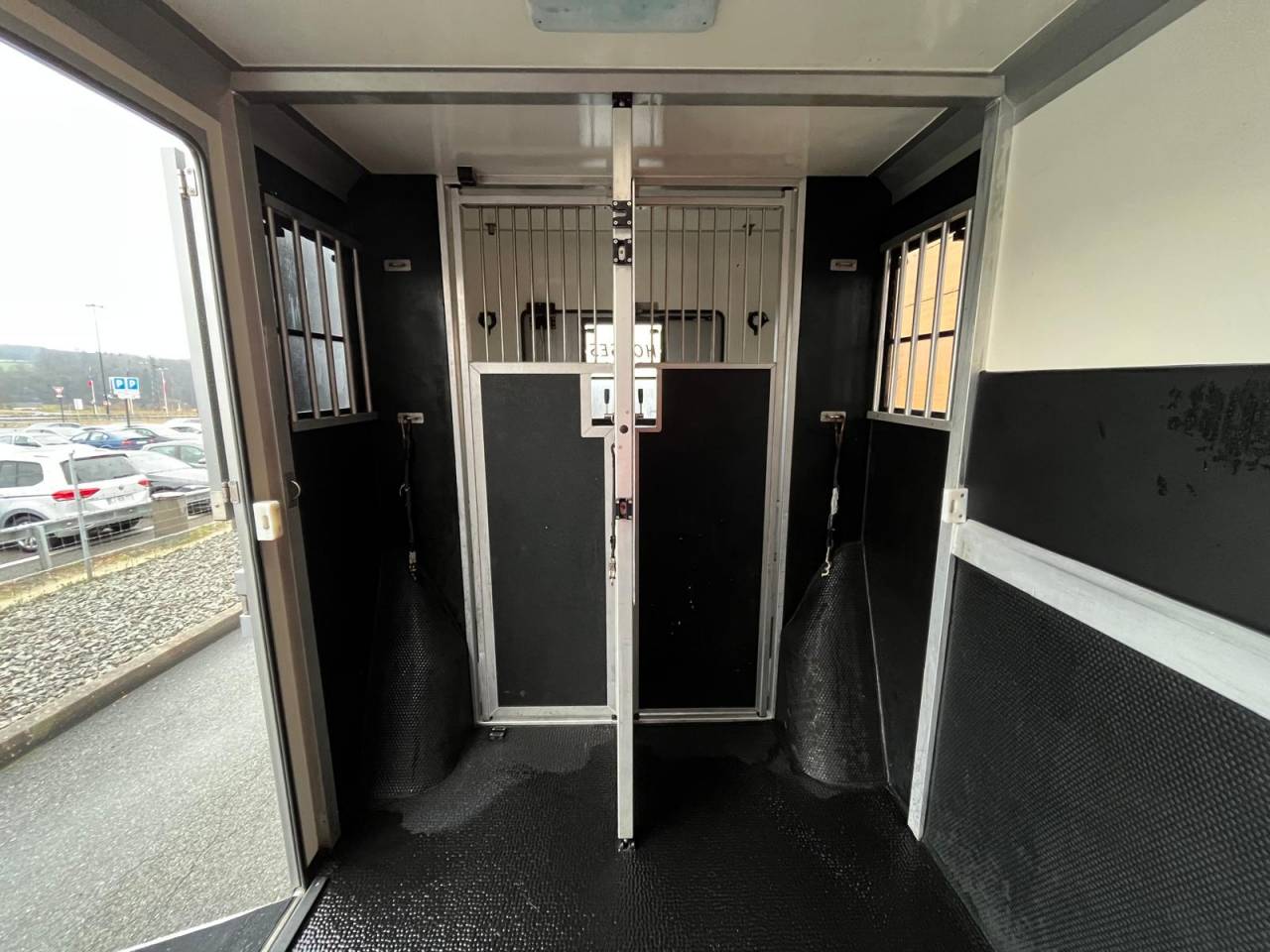 Van per Cavalli STX STX 2021 Occasione