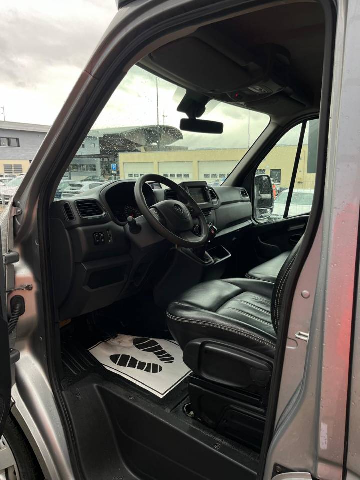 Van per Cavalli STX STX 2021 Occasione