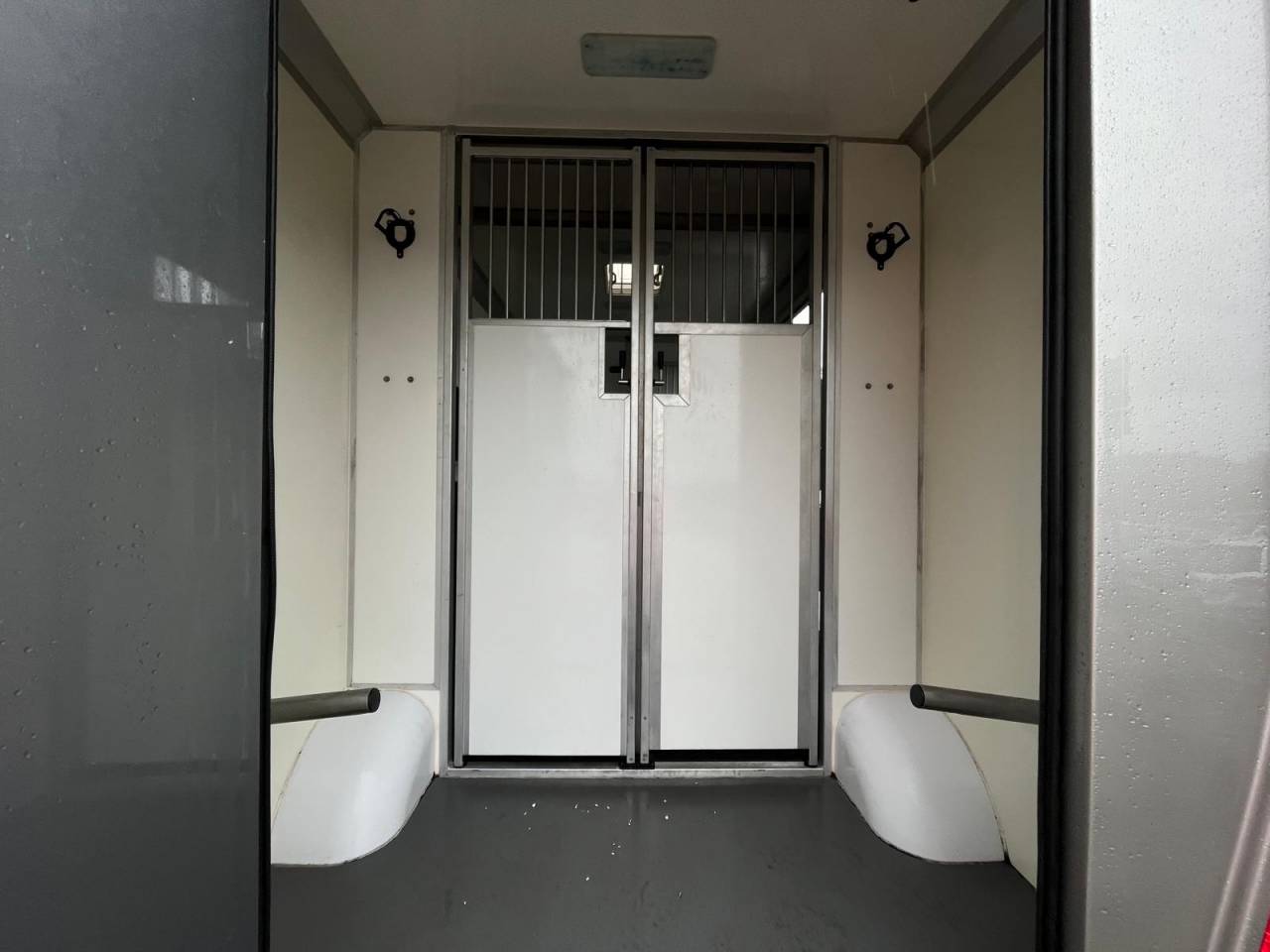 Van per Cavalli STX STX 2021 Occasione