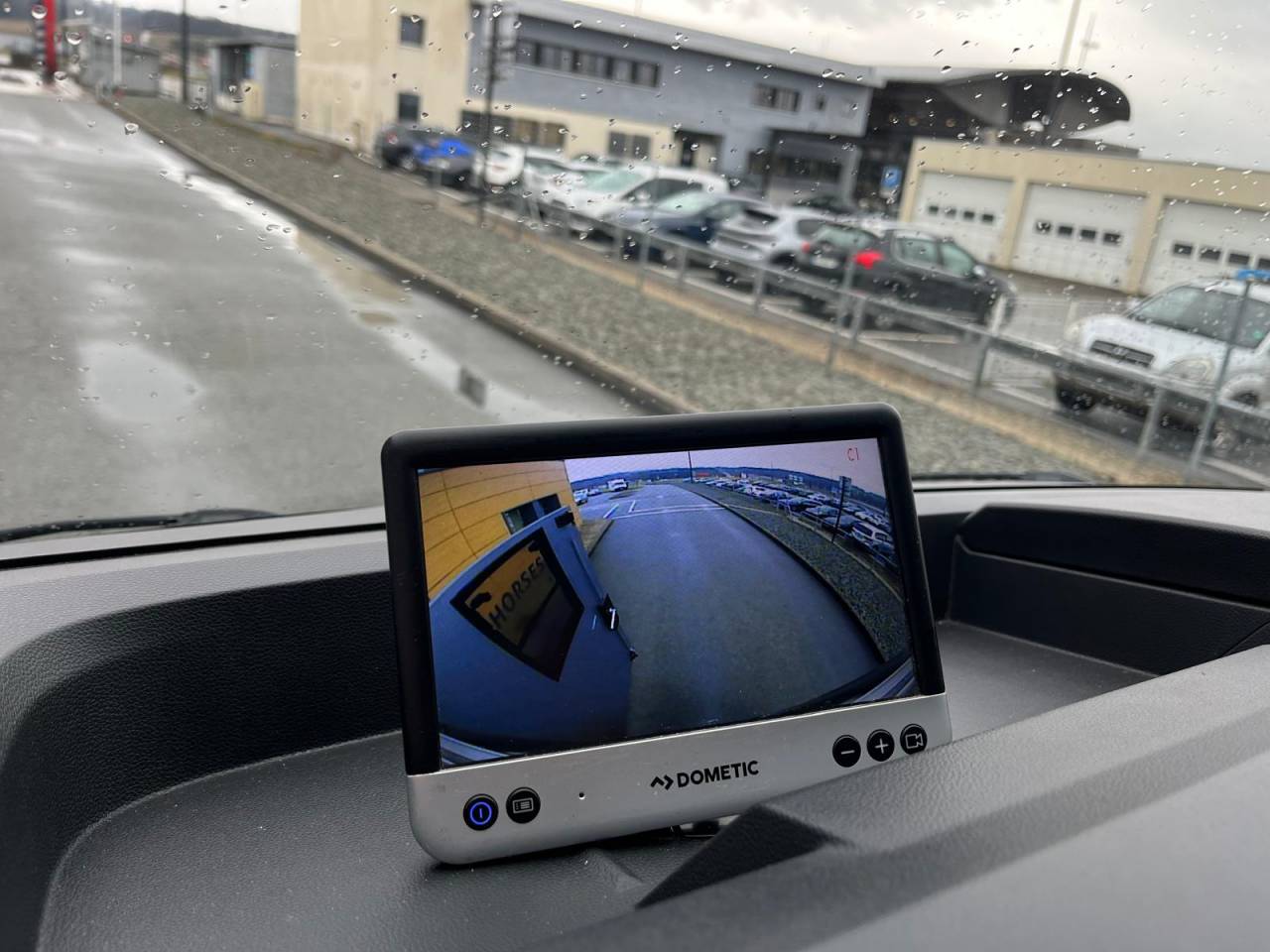 Van per Cavalli STX STX 2021 Occasione