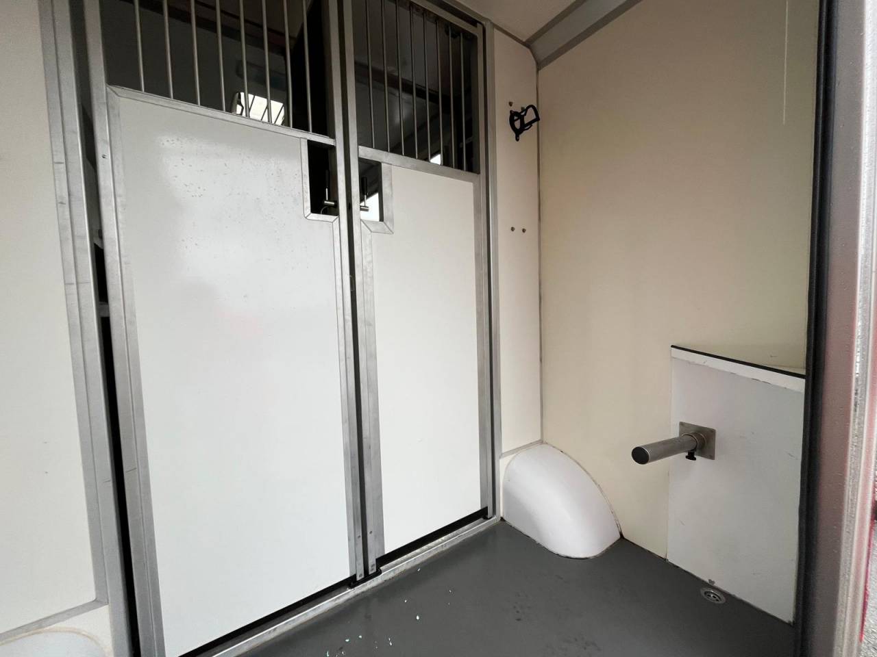 Van per Cavalli STX STX 2021 Occasione