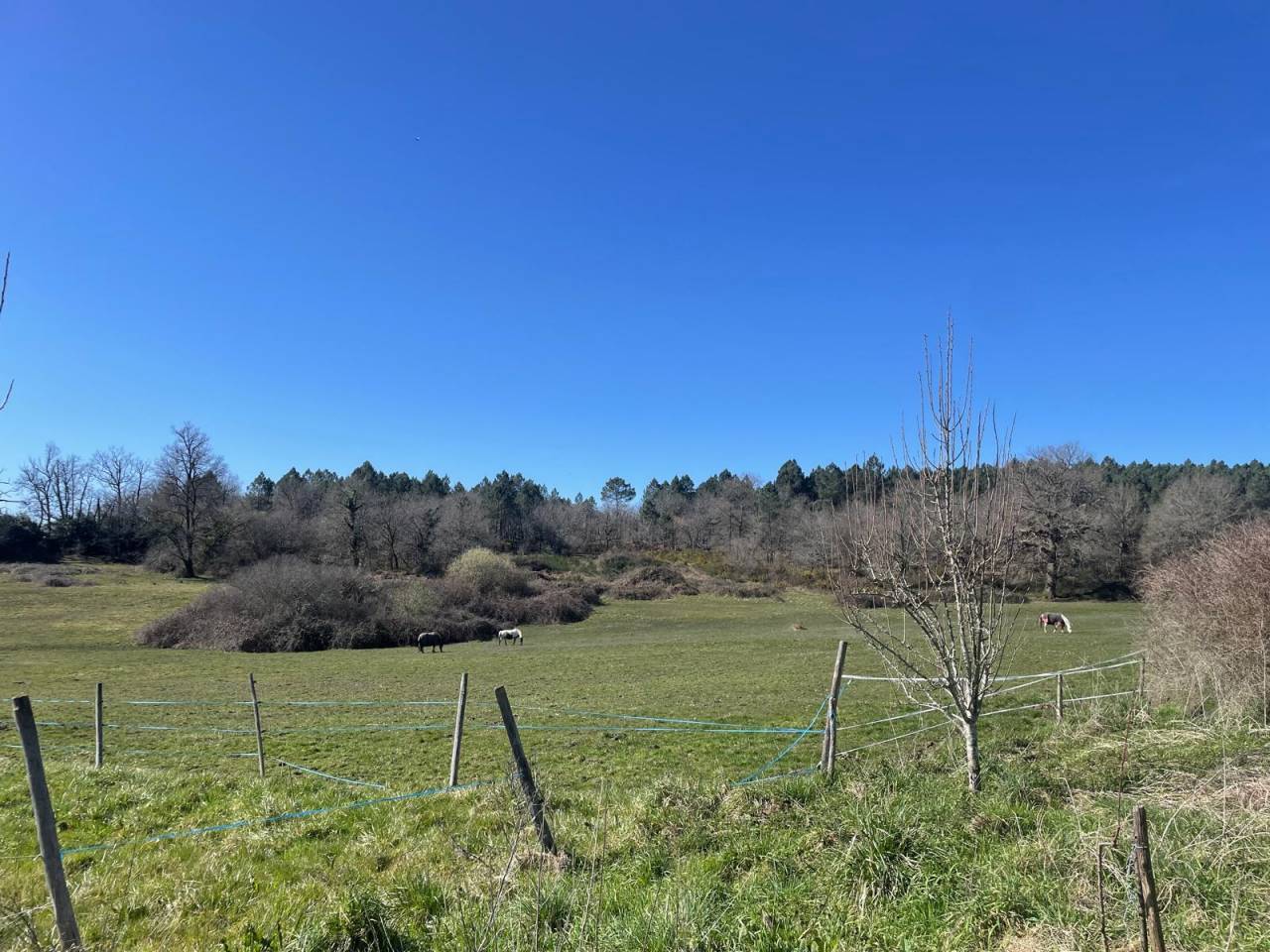 Propriet&agrave; equestre In vendita Charente-Maritime