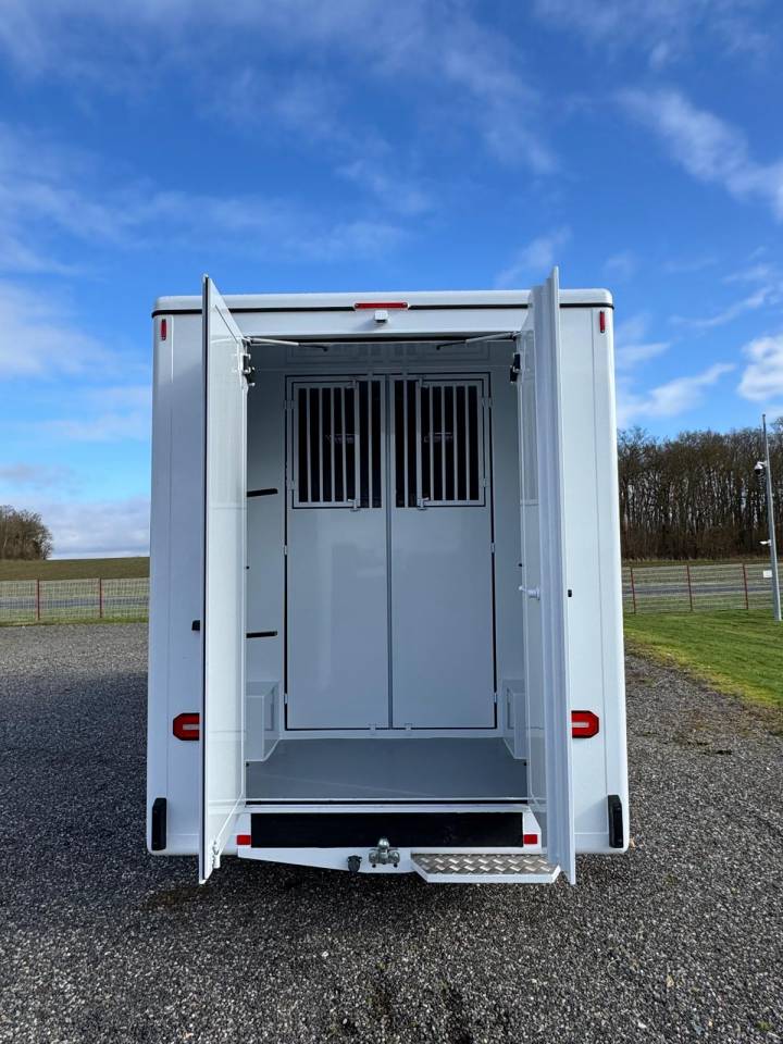 Van per Cavalli TBST Renault Master 2025 Nuovo