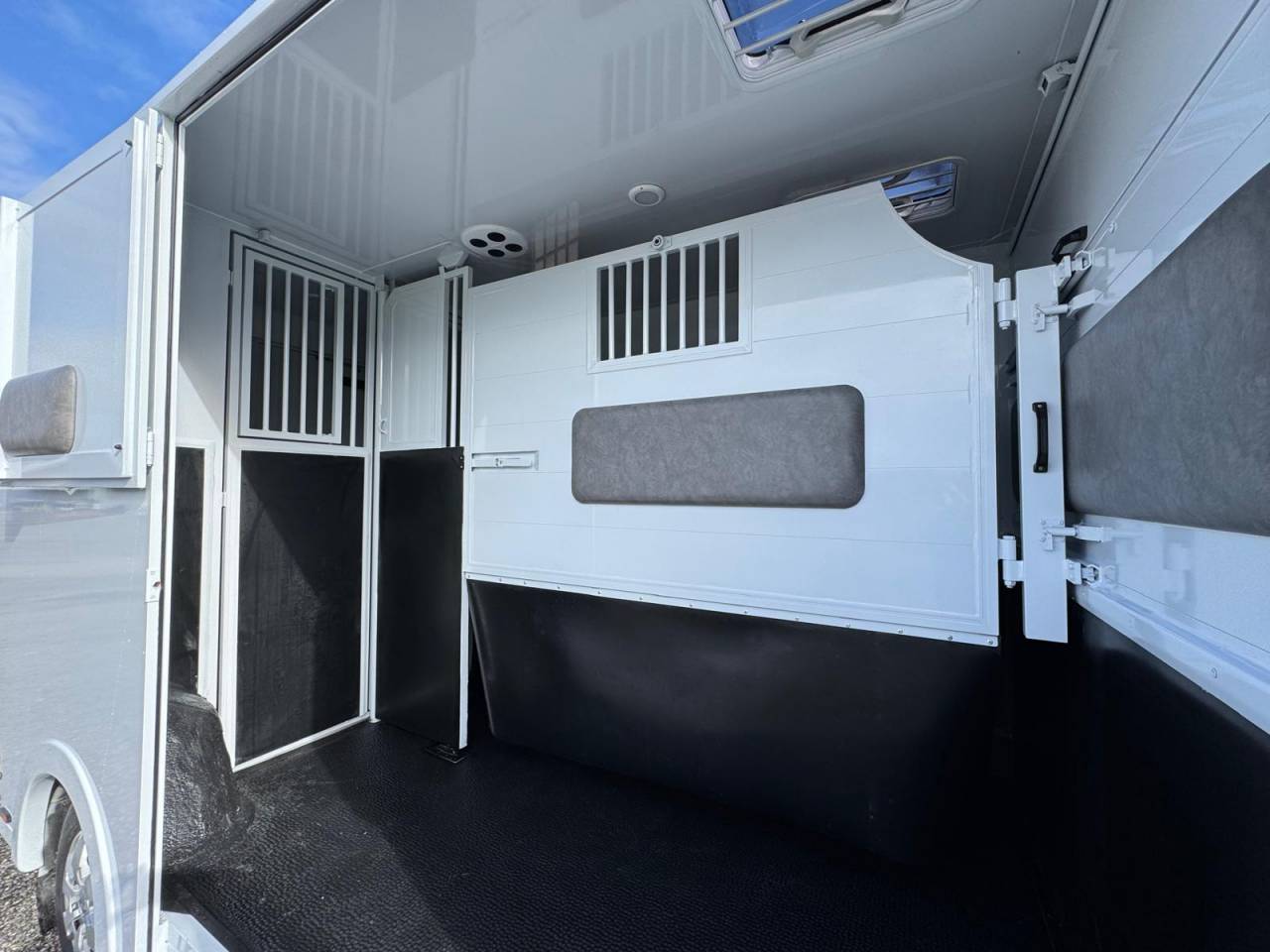 Van per Cavalli TBST Renault Master 2025 Nuovo