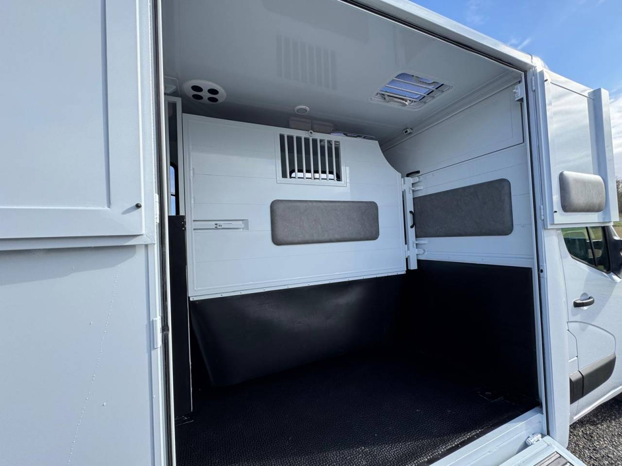 Van per Cavalli TBST Renault Master 2025 Nuovo