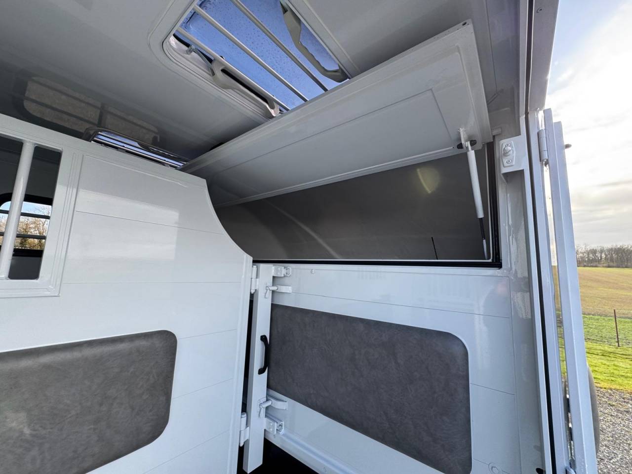 Van per Cavalli TBST Renault Master 2025 Nuovo