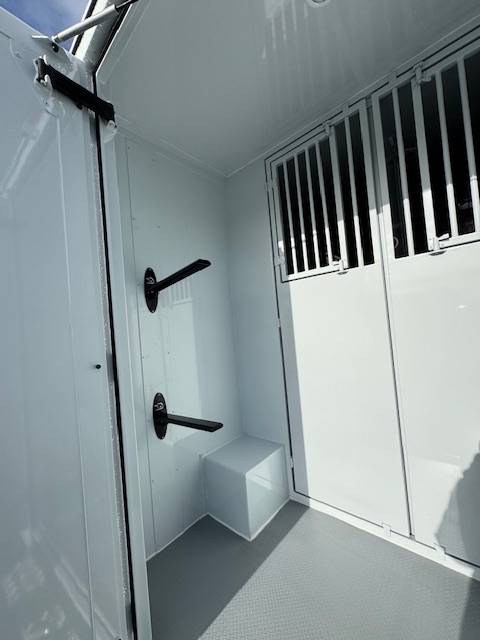 Van per Cavalli TBST Renault Master 2025 Nuovo