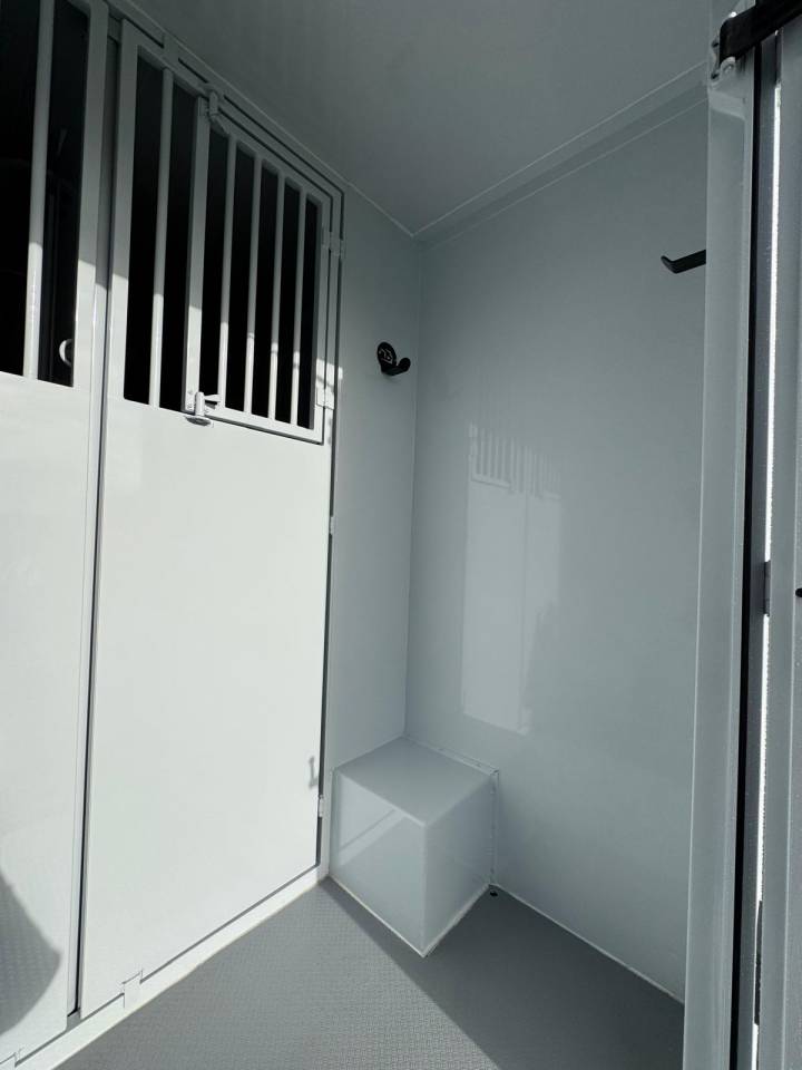 Van per Cavalli TBST Renault Master 2025 Nuovo