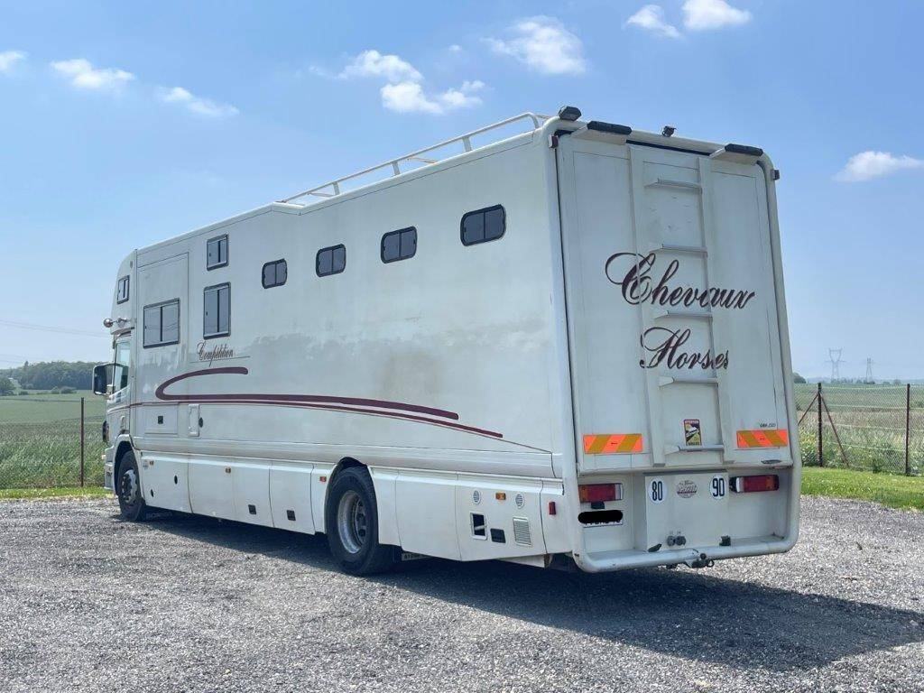 Camion per Cavalli Scania Donguy 2001 Occasione