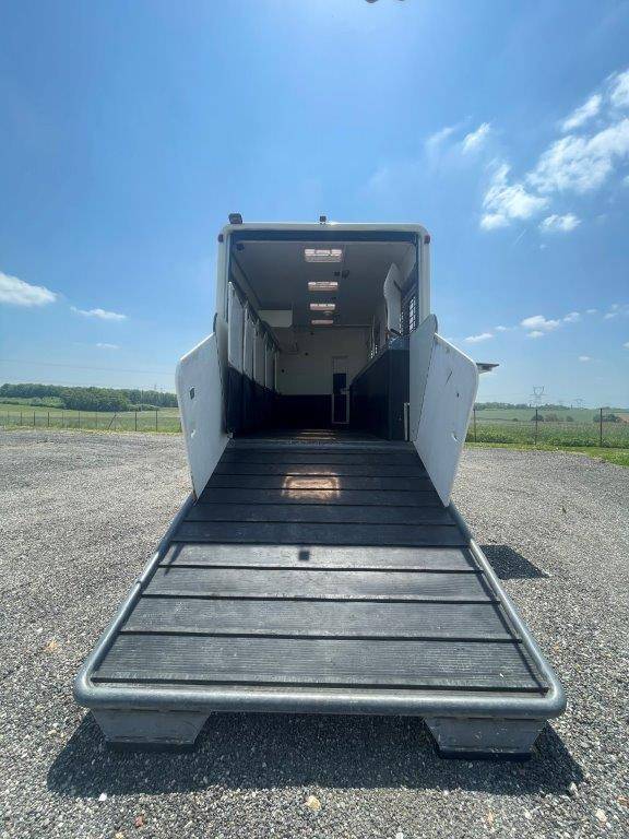 Camion per Cavalli Scania Donguy 2001 Occasione