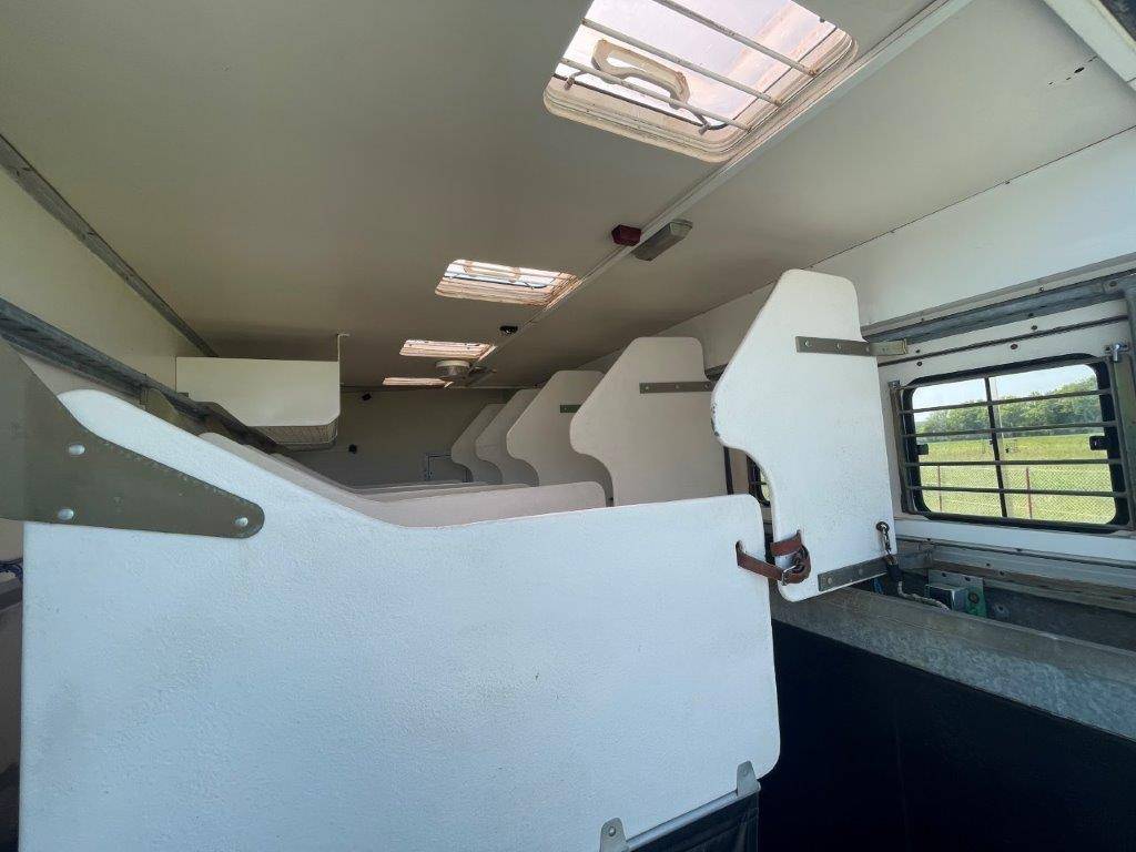 Camion per Cavalli Scania Donguy 2001 Occasione