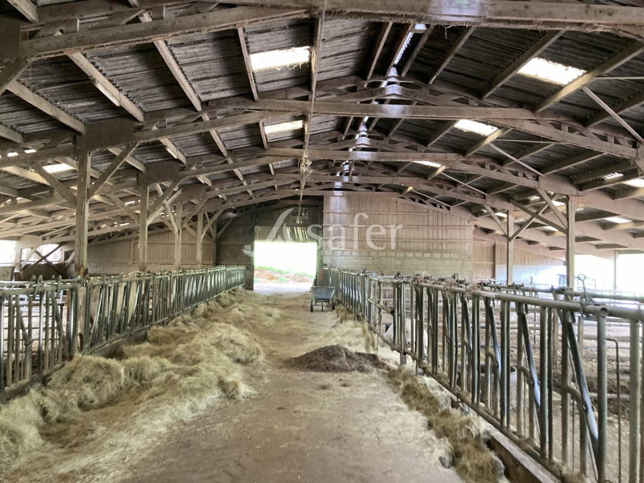 Azienda ovina In vendita Saône-et-Loire